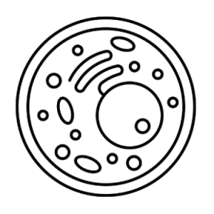 Button leading to page on flow cytometry and spectral flow cytometry for immunomonitoring purposes