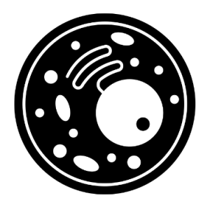 Button to go to Mass Spectometry page, using the cytof for large panel analysis or barcoding