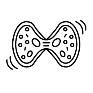 Button to go to page on proliferation assays such as MLR and antigen specific assays